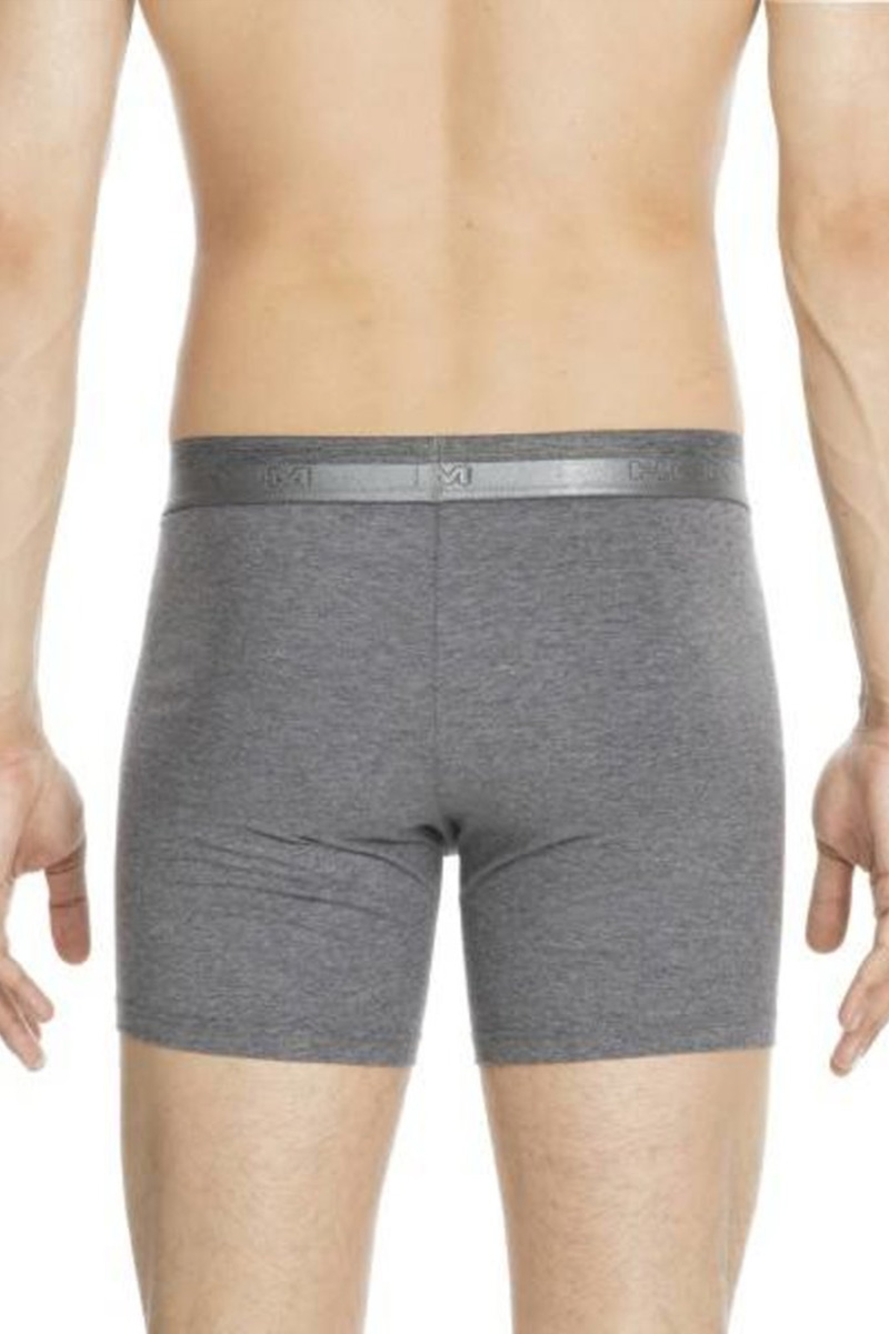 Hom Ho1 Boxershorts long actie 6-pack grijs