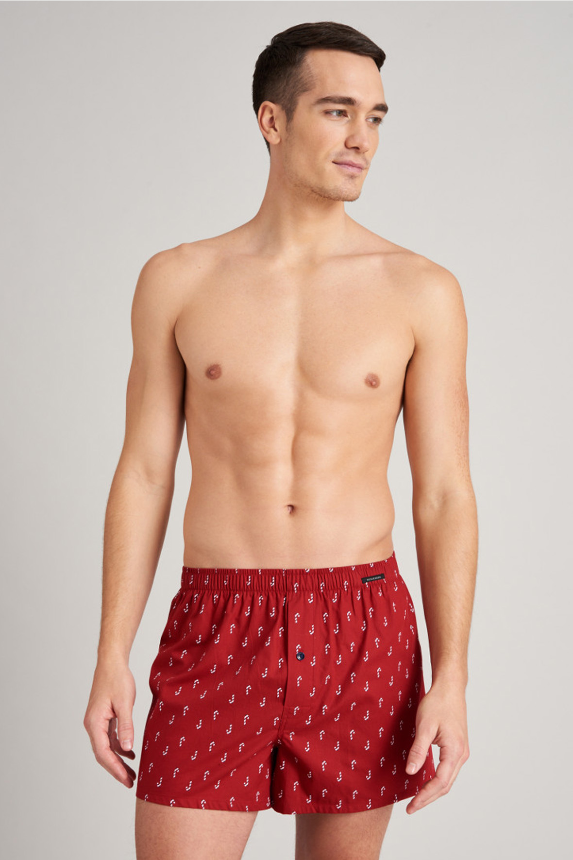 Schiesser Boxers Jersey 2-pack print rood